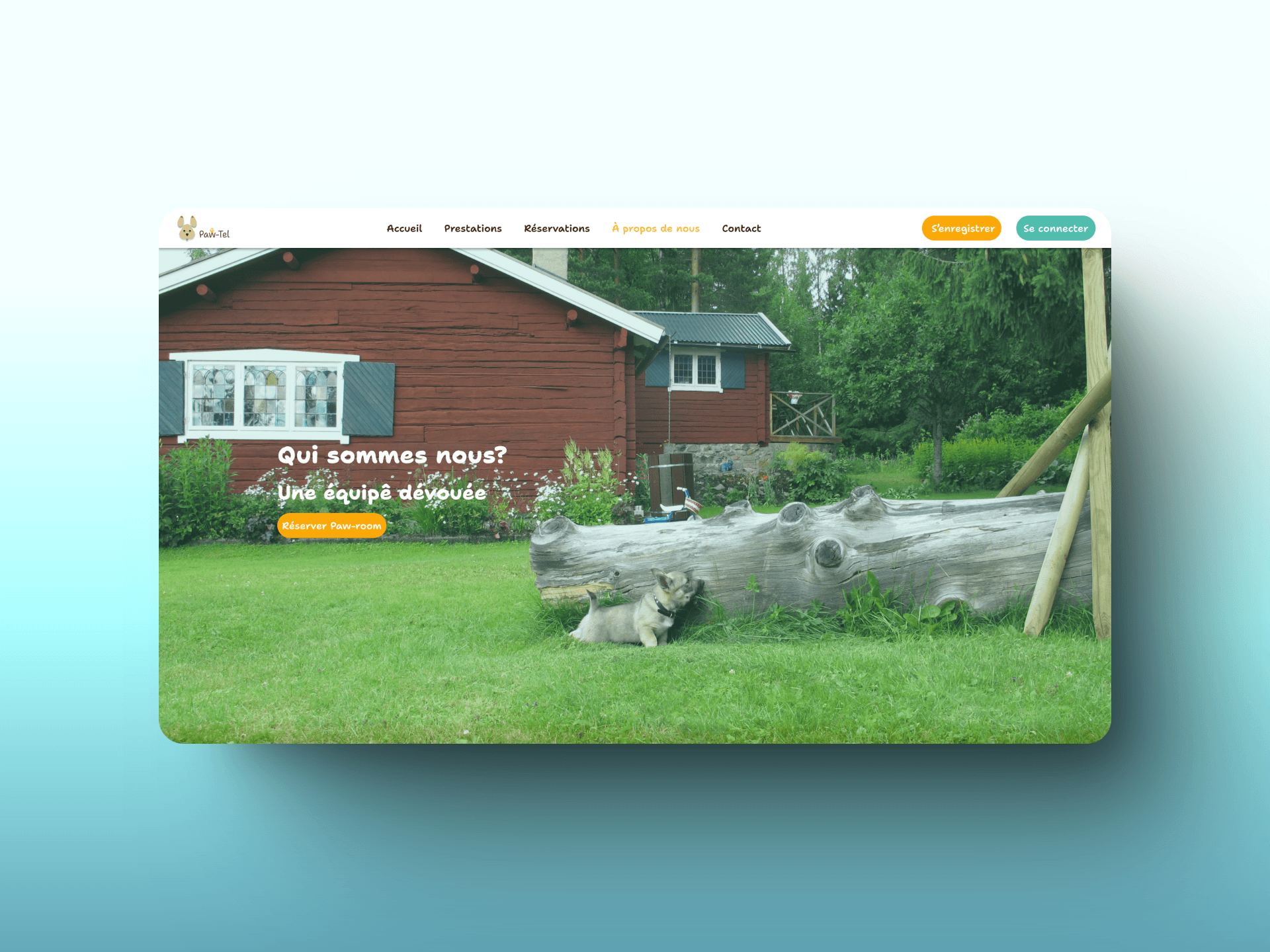 Related image 11 for 11Paw-Tel_apropos1