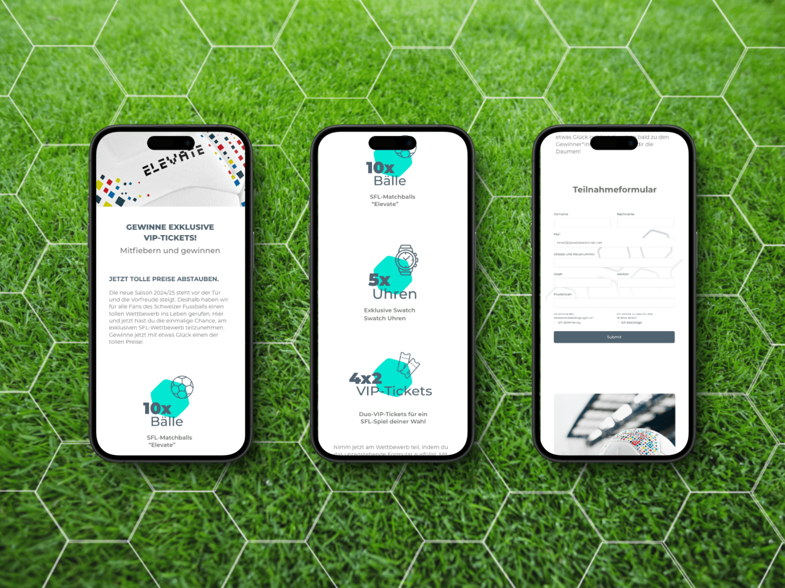 Related image 7 for sfl img 3